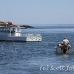 visitors_msi_h_3068_can1717.jpg